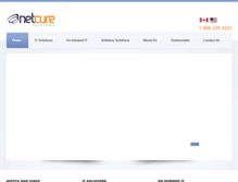 Tablet Screenshot of netcuresystems.com